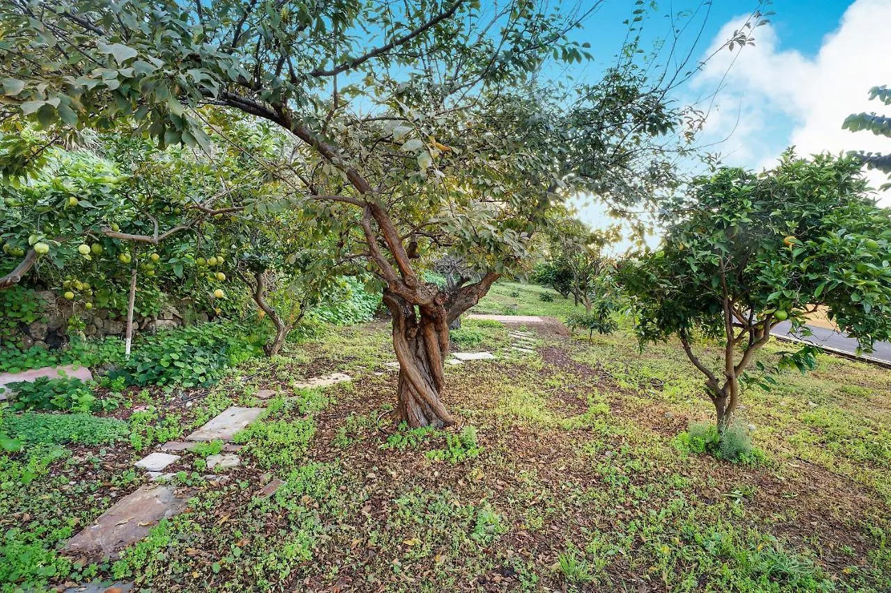 Casa La Victoria Villa La Victoria de Acentejo